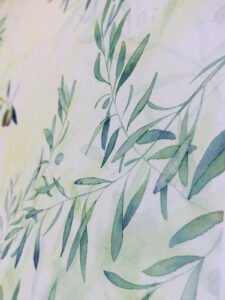 acuarela-botanica acuarela botánica sobre papel de algodón