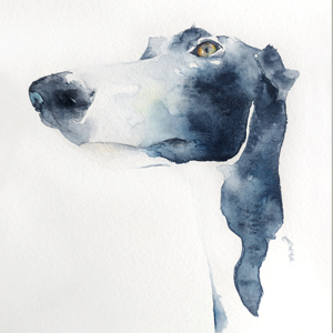 Retrato personalizado perro acuarela