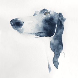 retrato acuarela perro retrato por encargo acuarela perro