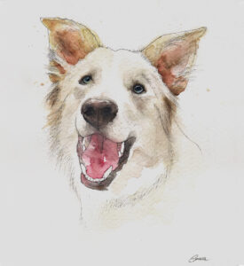 retrato acuarela perro retrato por encargo acuarela perro