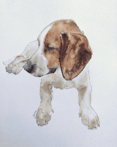 retrato acuarela perro retrato por encargo en acuarela de un perro